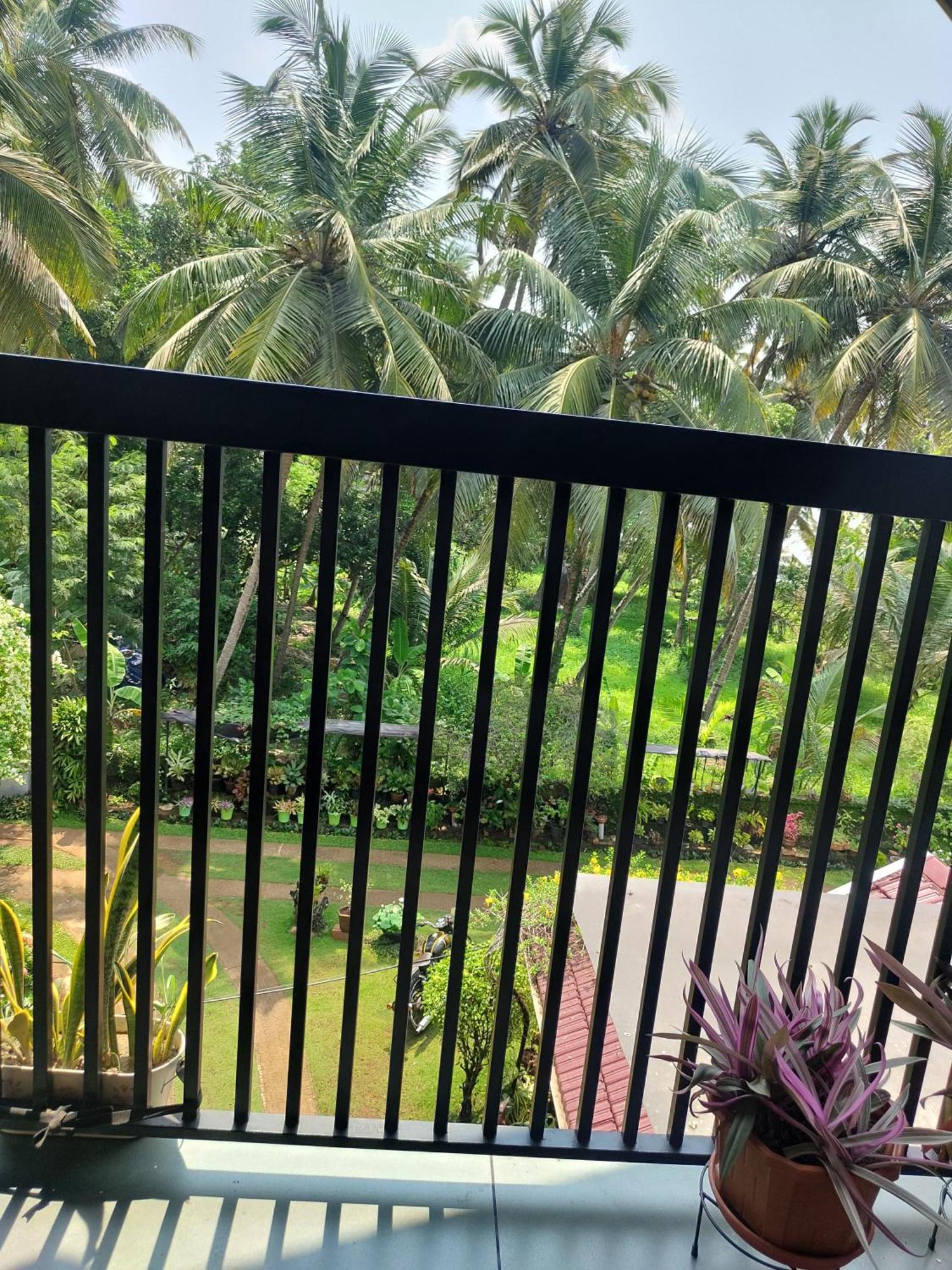 Maleyam Homestay Riverside 科泽科德 外观 照片